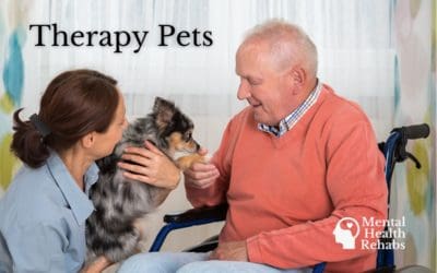 How Therapy Pets Help Those with Mental Illnesses