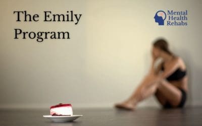 All About The Emily Program